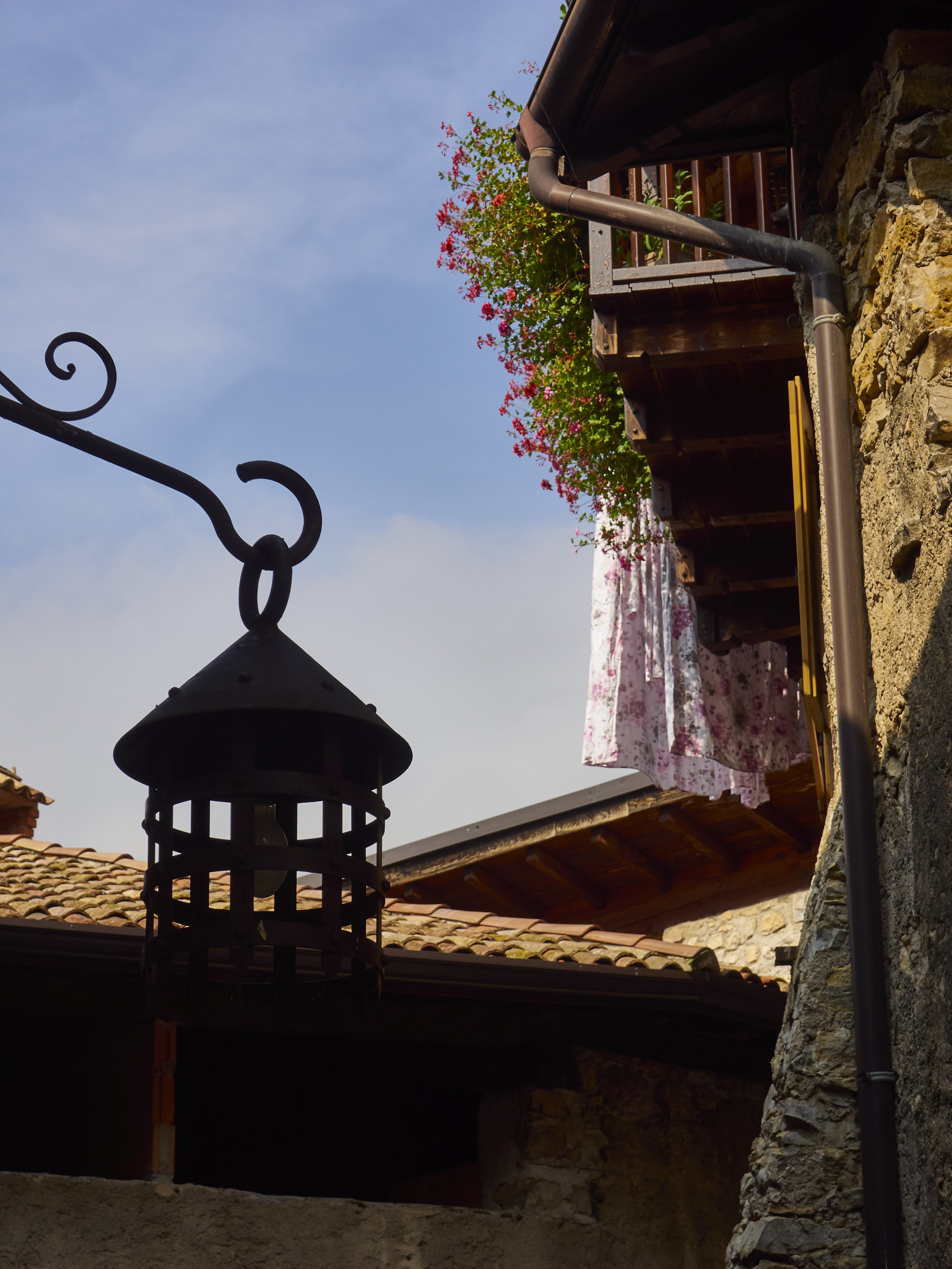 Ledrosee 17 09 19 18 1